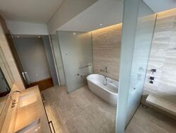 Hana (D10), Condominium #511046231